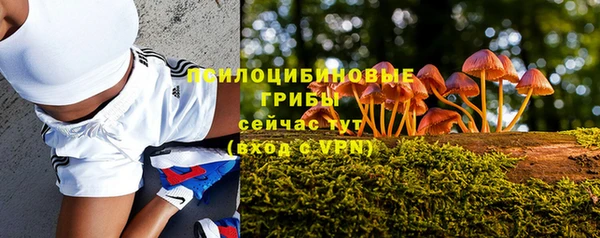 альфа пвп Беломорск