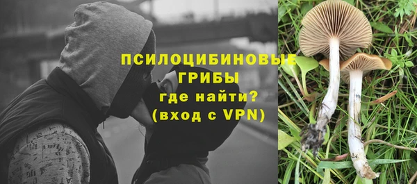 альфа пвп Беломорск